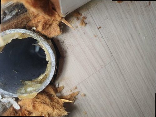 영등포구 하수구막힘 문래동 하수구막힘 상가 배수 지연이 반복된 현장 사례